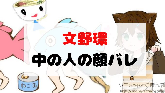 文野環　VTuber　顔バレ　素顔　前世